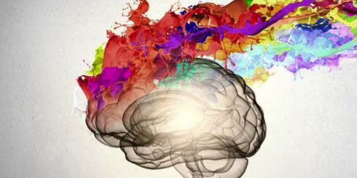 Where is Free Will in the Brain?