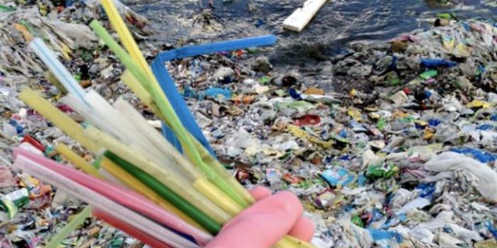 Can NYC ban plastic straws?
