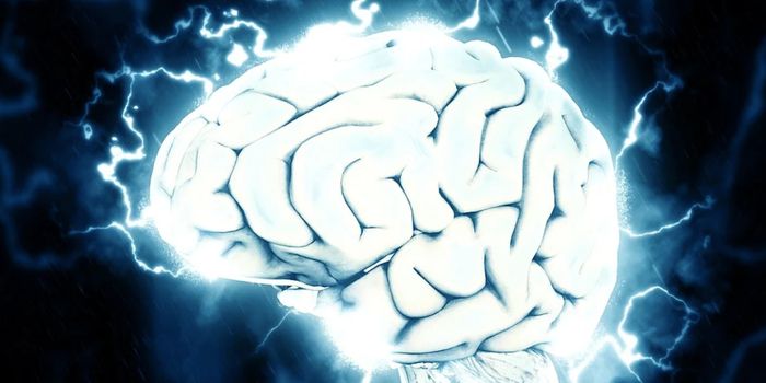 Noninvasive Ultrasounds Can Be Used to Diagnose Brain Disease