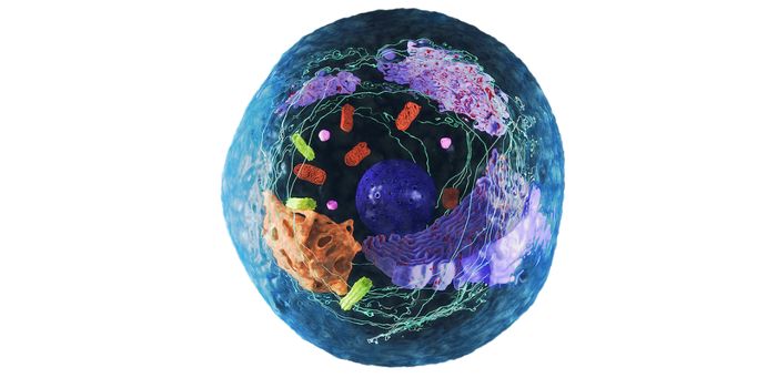 Using Biology as Technology: A Paradigm Shift