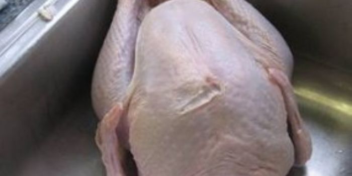 Washing Your Thanksgiving Turkey Does More Harm than Good