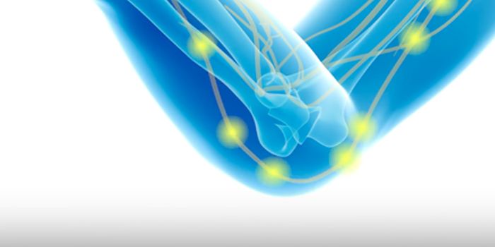 The Science Behind Whacking Your 'Funny Bone'