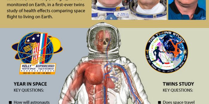 An Identical Twin Spending One Year In Space Infographic