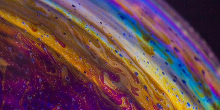 Understanding How Host Genetics Can Affect Microbes in the Gut