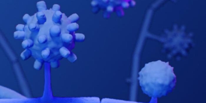 Soil Fungi are Causing Serious Lung Infections Across the US