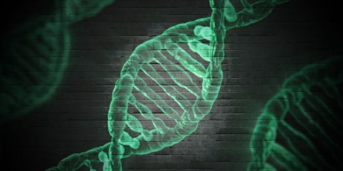 Gene-Editing Breakthrough for Cervical Cancer