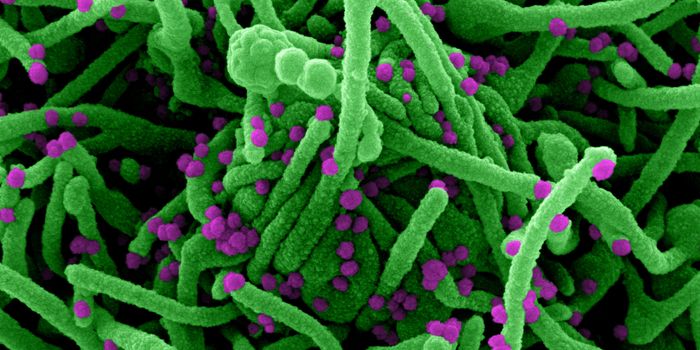 Hidden Genes in the SARS-CoV-2 Genome