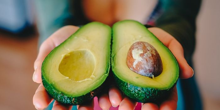 Avocados May Improve Diet Quality