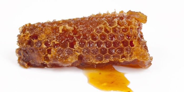 Honey More Effective than Medication to Treat Cough