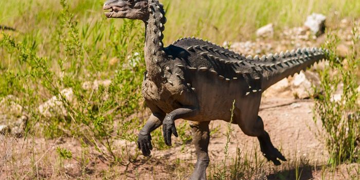 Paleontologists use scanning electron microscopy to analyze dinosaur egg fossils