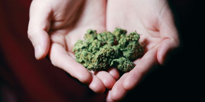 Cannabinoids Fail to Improve Measures of Pain Intensity Above Placebo