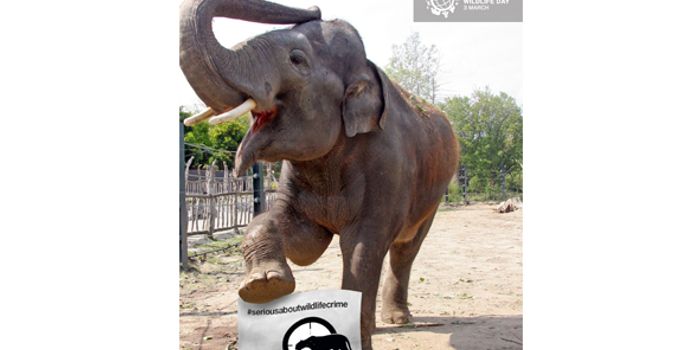 Today is World Wildlife Day