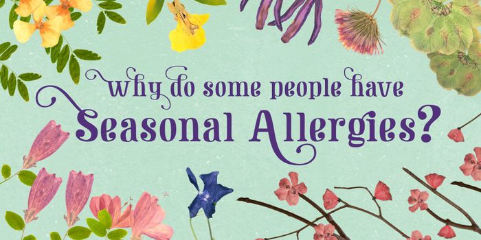 Why Do People Have Seasonal Allergies?