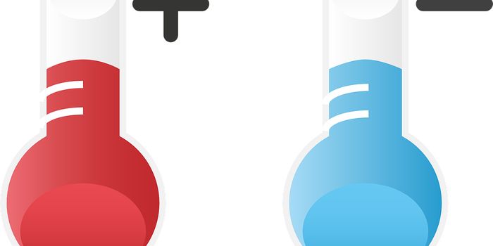 Heating Up the Immune Response: Turning Cold Tumors Hot