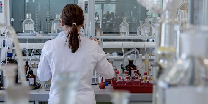 Don't Underestimate the Importance of the Spleen