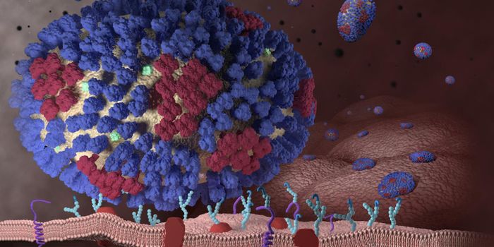 Gene Editing Tools Reveal Two Key Genes Involved in Influenza Infection