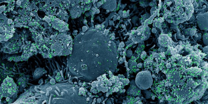 COVID-19 Vaccine is Safe, Effective for Kids & Teens