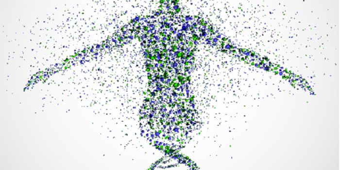 The Genomic Portrait of a Nation: Iceland