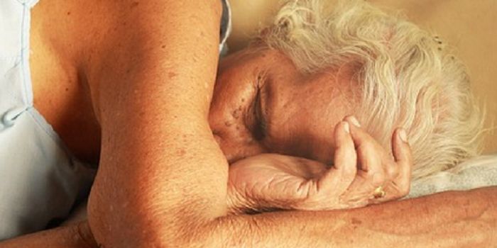 This New EEG Cap Reveals How The Brain Works and Sleeps