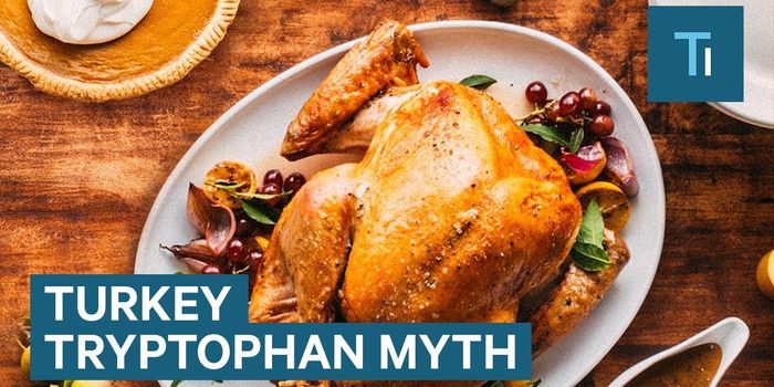 Debunking the Turkey and Tryptophan Myth