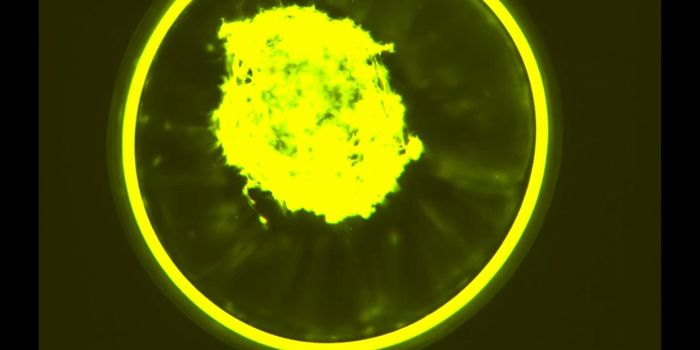 Building Better Molecular Motors