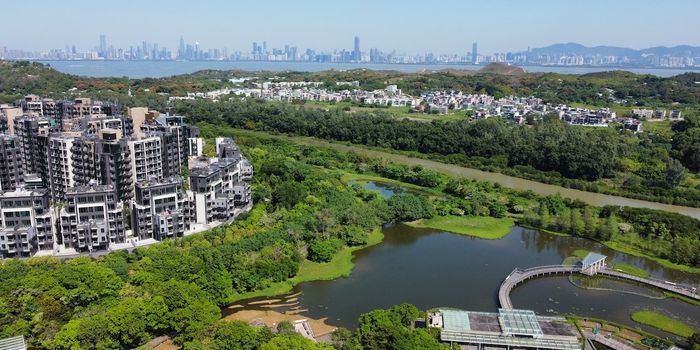 Planting Trees Literally Saves Lives