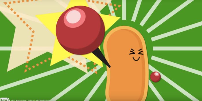 Scientists Discover an Antibiotic Resistance Gene