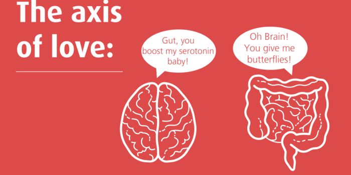 Gut: a second brain and novel therapeutic target