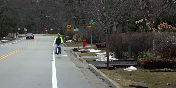 How are These Older Adults Still So Mentally Sharp?