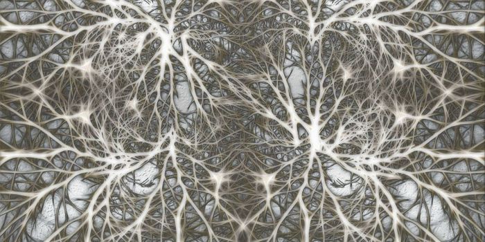 Iron-related Protein Reverse Brain Aging in Mice