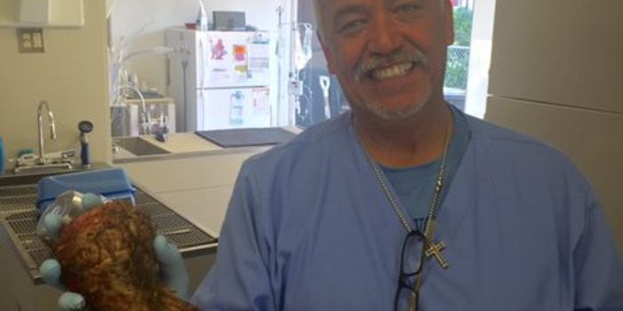 Here's Why You Should Keep Your Dog From Swallowing Gorilla Glue