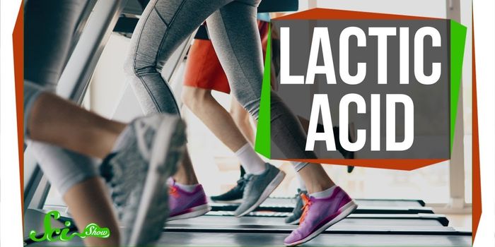 Don't Blame Lactic Acid for Muscle Pain During a Workout