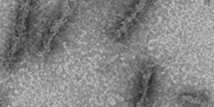 Adds to our understanding about immune system's abilities