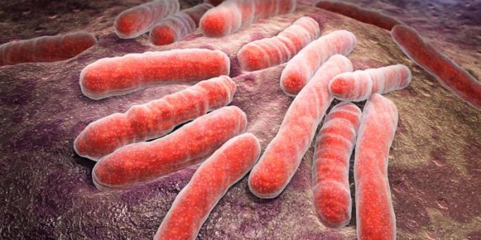 Stronger Immune Response to Ward Off Tuberculosis