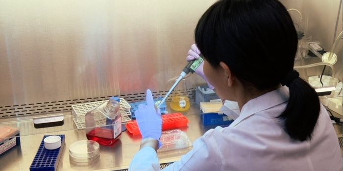 Maternal High-Fat Diet Raises Inflammation Risk in Offspring