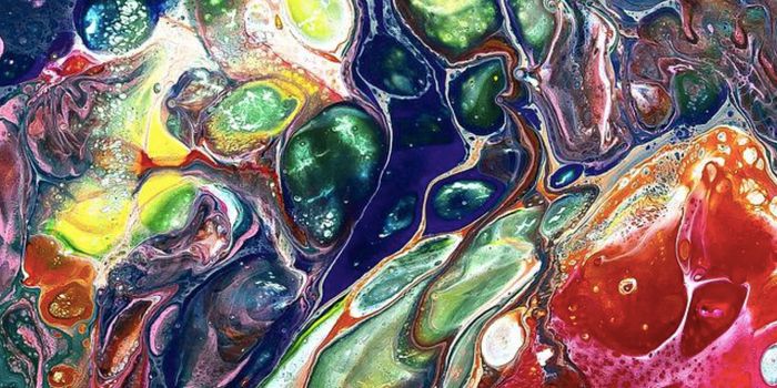 New Imaging Tools Provide Insights Into Cell Stress