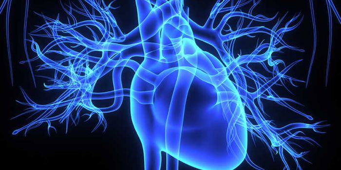 The Intricate Relationship Between Zinc and Cardiac Function