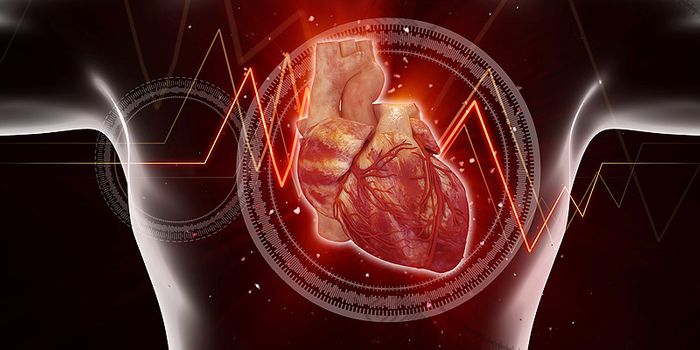 Diagnostic "Algorithm" Tests Heart Health