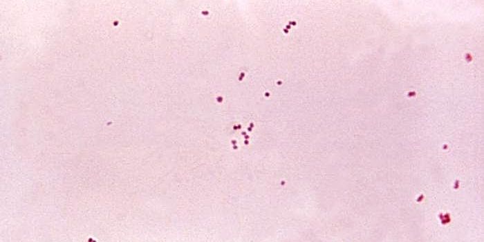 Stomach Pain Is A Warning Sign for Meningitis