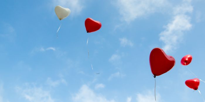 Scientific Insights Into Romantic Love