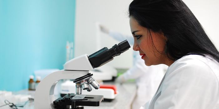 New research targets pancreatic cancer tumors' environment