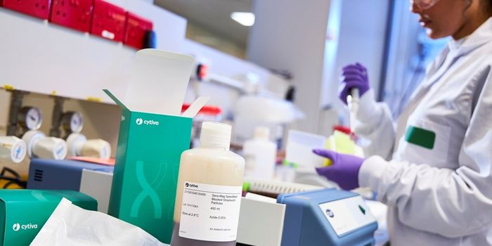 A magnetic bead for every need: Expanding applications with conjugated magnetic beads