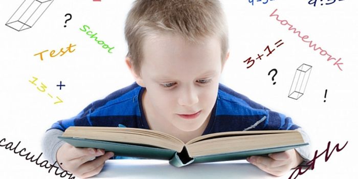 Making Sense of Math