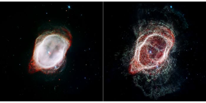 JWST Captures the Death of a Multi-Star System