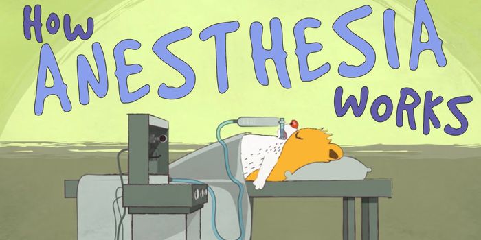 How Does Anesthesia End Pain?