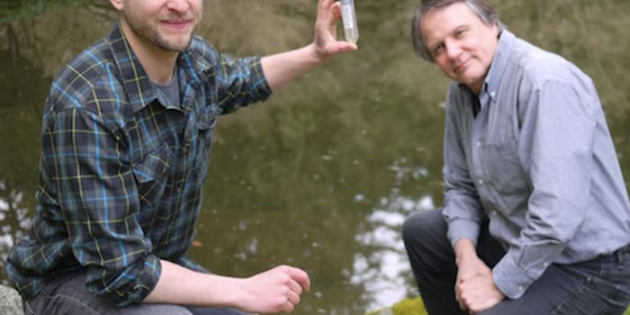 A Giant Ocean Virus has Been Isolated & Characterized