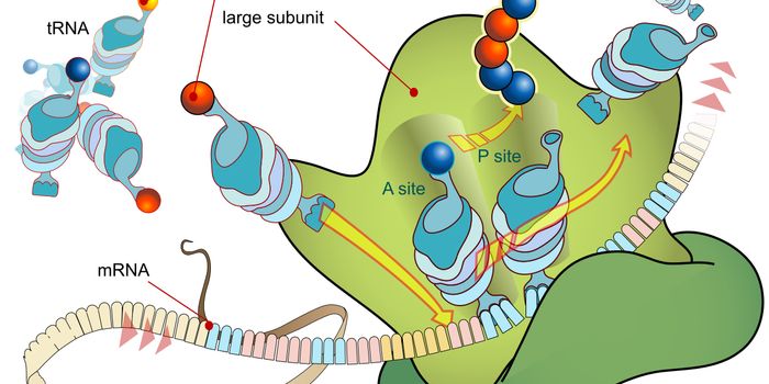 Lost in Translation: Ribosomal mistake contributes to COVID-19 side effects