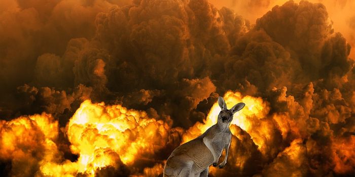 Now that the fires are over...