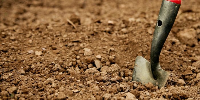 From Dirt Comes Two New Antibiotic Candidates