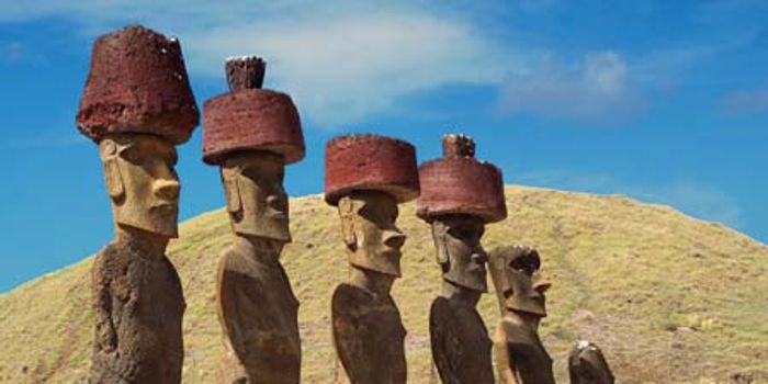 Easter Island Extinctions